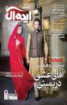کتاب زندگی ایده‌آل – شماره ۲۱۳(نسخه PDF) نوشته  گروه نویسندگان